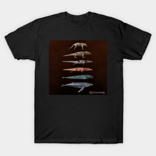 The Evolution of Whales T-Shirt